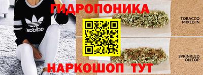дмт Сланцы