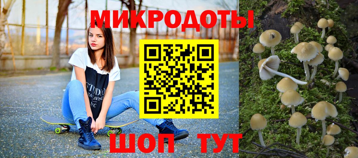 Наро-Фоминск  что такое   Вход с VPN  Галлюциногенные грибы Cubensis 